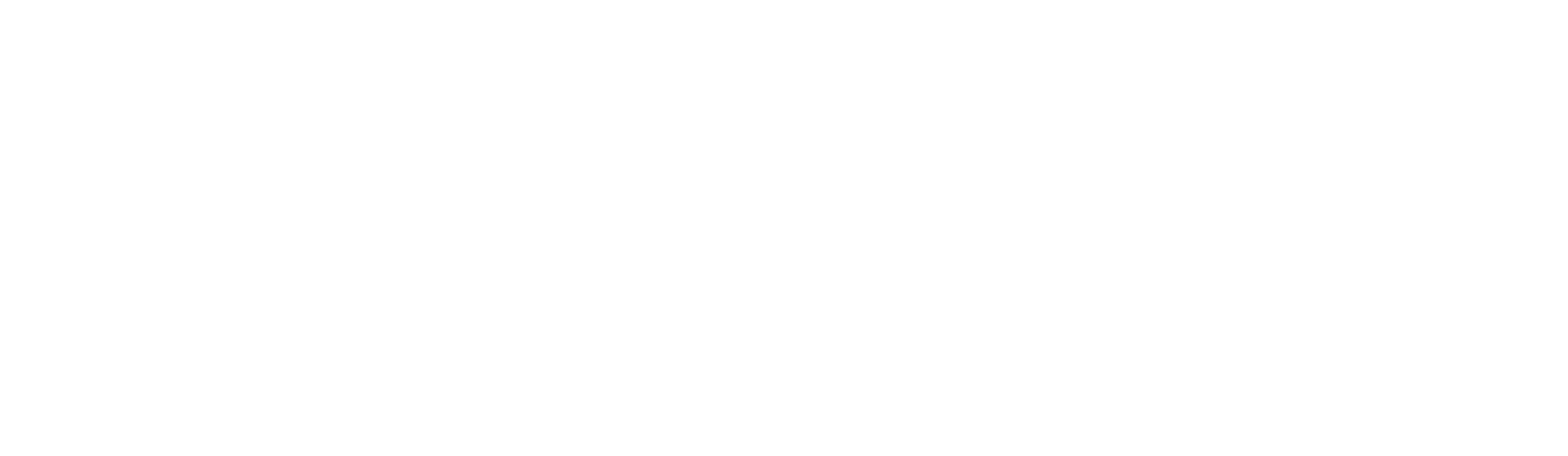 Kaizen Company