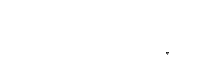 PMI Amazonia Chapter